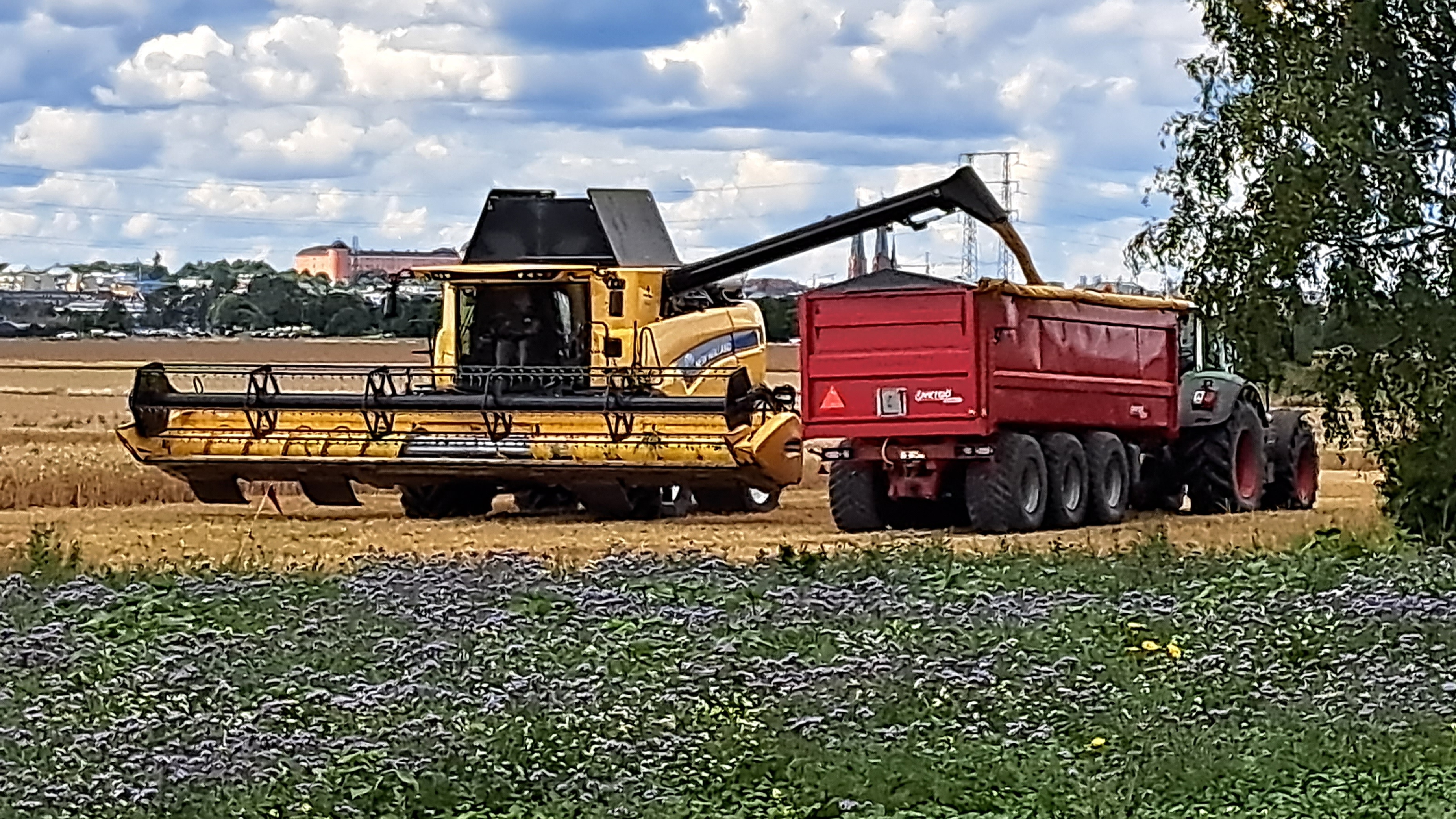 Nyskördad spannmål lastas över från skördetröska till vagn bakom traktor.